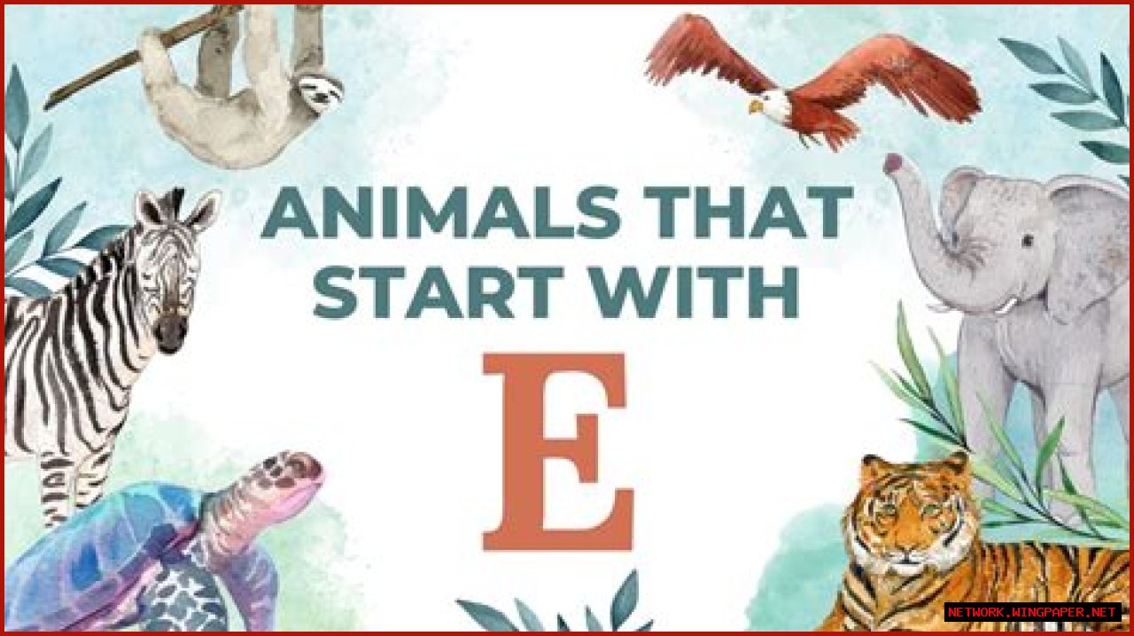 Exploring The Enigmatic World Of Animals Starting With E